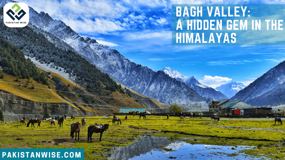 Bagh Valley A Hidden Gem in the Himalayas
