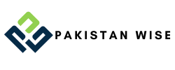 Pakistn Wise Logo
