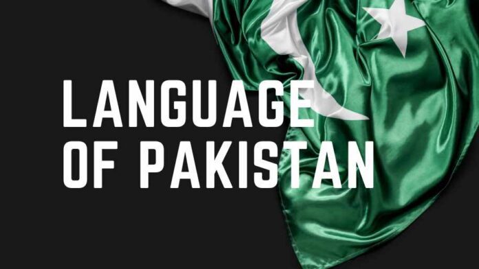 Pakistan Flag with Language of Pakistan Writtern