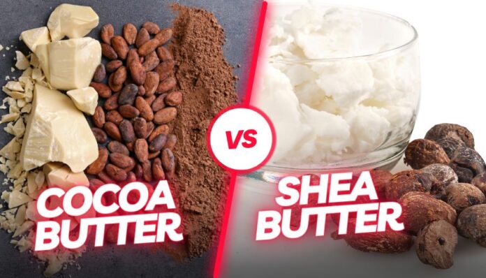 Difference Between Cocoa Butter and Shea Butter