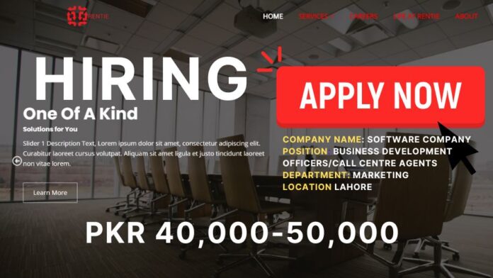 Jobs in Business Opportunities at Software Co Rentie