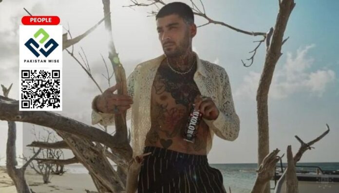Zayn Malik Mixoloshe partnership