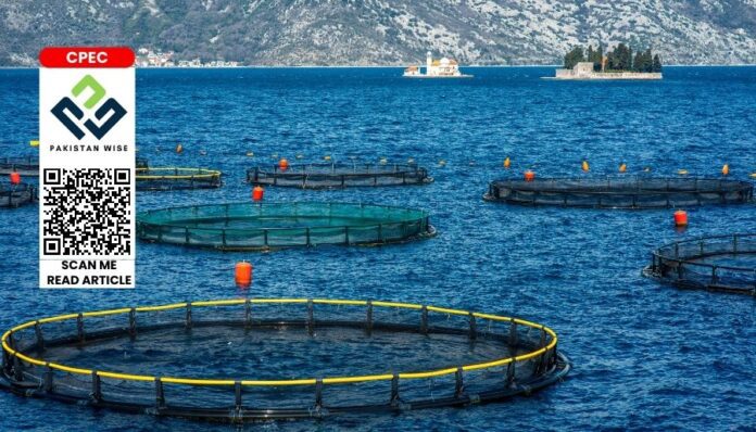2023 International Training Workshop on Mariculture Technologies