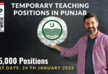Applications Open for Temporary Teaching Positions in Punjab, Pakistan Temporary Teaching Positions in Punjab